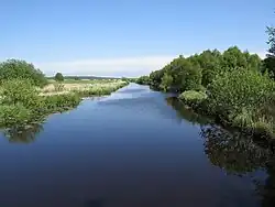 Ufergehölz in der oberen Geesteniederung