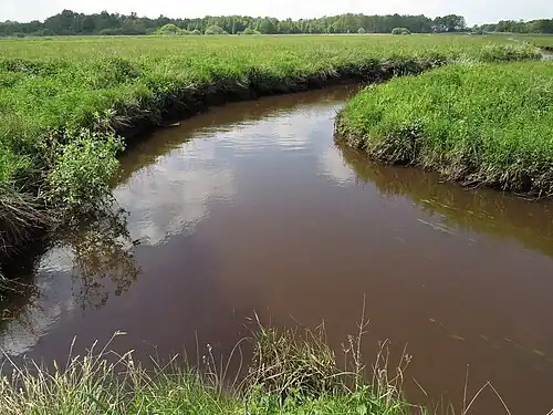 Marsch in der unteren Geesteniederung