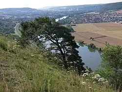 Blick vom Grainberg auf den Main