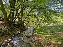 Grunder Bach südl. Grund