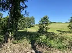 Bachtal der Hönnige im NSG