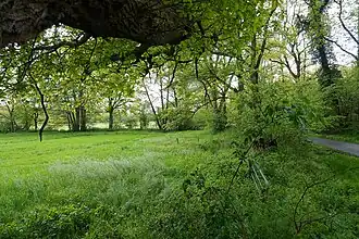 Knickreiche Kulturlandschaft