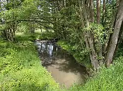 Hardenberger Bach östl. Fingscheidt