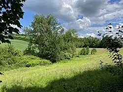 Unteres Bachtal der Junkersbeck