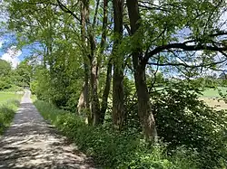 Weg über den Bach Junkersbeck zum gleichnamigen Hof