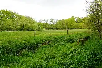 Knicklandschaft mit Feuchtwiesen