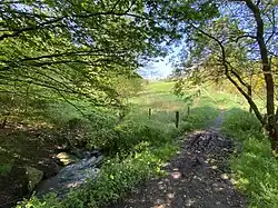 Hengstener Bach bei Niedersondern