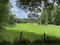 Landschaftsmosaik aus Grünflächen und Wald