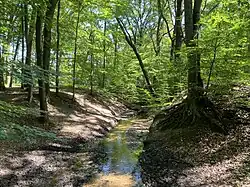 Der Sandbach fließt am Stadtwaldteich vorbei.