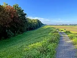 Der Itterdamm - blütenreicher Deich im Süden