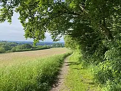 Landwirtschaftliche Fläche im NSG