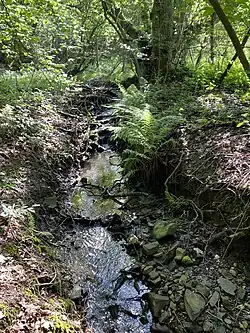 Steiniges Bachbett des Mirker Baches