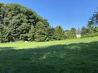 Pferdeweide bei Niederkollenbach