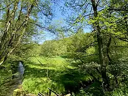 NSG Krabbenheider Bach in Gevelsberg mit Sumpf-Dotterblumenwiesen im südöstl. Teil