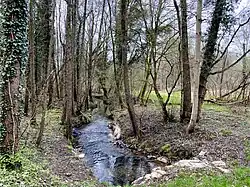 Wiembach an der Neukronenberger Straße