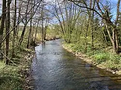 Die Dhünn bei Hummelsheim