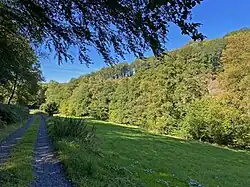 Talaue nordöstl. Pixberger Mühle