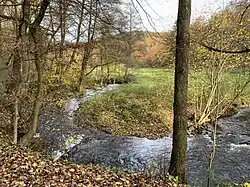 Mäander des Deilbaches