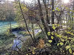 Deilbach mäandert und bildet Schotterinseln