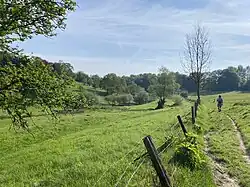 Murmelbach fließt im offenen Wiesental
