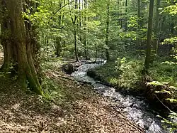 Unteres Murmelbachtal