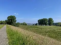 Blick vom Winterdeich über die Rheinaue