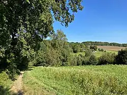 Birther Bachtal nördl. Hustert