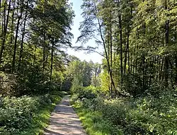 Pillebachtal nördl. Gut Großeforst