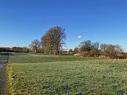 Grünland muss beweidet oder gemäht werden