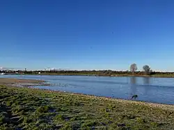 Rheinufer bei Monheim