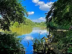 Großer Teich bei Rotthaus