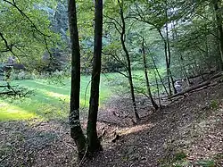 Talaue mit Feuchtgrünland nahe Burgheim