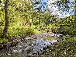 Mündung des Lobach in den Eschbach