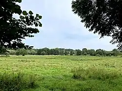 Bruchhauser Feuchtwiesen