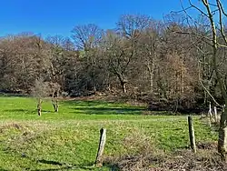 Schwarzbachtal östl. A3 und südl. Götzenberg