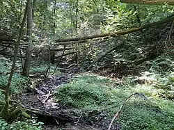 Kerbtal des Altenhofer Baches