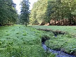 Oberlauf Kleine Dhünn