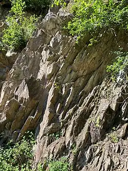 Tonschiefer-Felswand im zentralen Steinbruchkessel