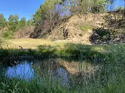 Feuchtbiotop im zentralen Steinbruchkessel