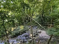 Stinderbach unterhalb des ehem. Fischteiches