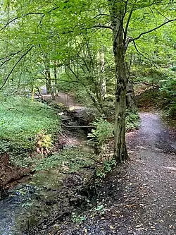 Stinderbach Oberlauf