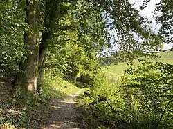 Wanderweg A1 Dorper Bachtal