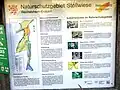 Infotafel am Naturschutzgebiet (2021)