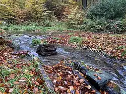 Bachbett mit Seggen, Steinen und Totholz