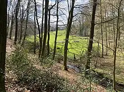 Bachtal unterhalb Töckelhausen