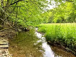 Unterlauf der Brambecke