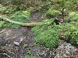 Quellbereich der Fastenbecke