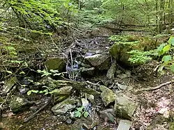 Wolfsbecke im Mittellauf