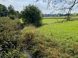 Der Kerspe-Bach im Feuchtgrünland