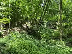 Dolinengelände (Südteil NSG)